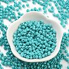 Baking Paint Glass Seed Beads SEED-A032-02H-2