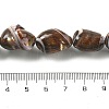 Dyed Natural Trochus Shell Beads Strands BSHE-Z006-02E-4