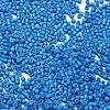 Baking Paint Glass Seed Beads SEED-S042-05B-76-3