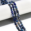 Natural Lapis Lazuli Beads Strands G-P497-01B-14-2