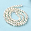 Natural Pearl Beads Strands PEAR-E018-75-3