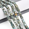 Natural Variscite Beads Strands G-T140-41B-1