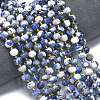 Natural Sodalite Beads Strands G-K389-E74-01A-2