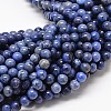 Natural Grade AA Dumortierite Quartz Round Bead Strands G-P075-43-4mm-1