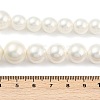 Round Shell Pearl Graduated Beads Strands BSHE-XCP0001-39-5