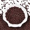 Baking Paint Glass Seed Beads SEED-T006-03V-1