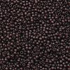 TOHO 11/0 Round Beads SEED-XTR11-0006CF-2