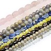 Natural & Synthetic Gemstone Beads Strands G-F513-02A-2