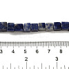 Natural Sodalite Beads Strands G-B078-K01-01-5