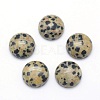Natural Dalmatian Jasper Cabochons X-G-P393-R33-10MM-1
