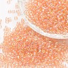 12/0 Round Glass Seed Beads SEED-J011-F12-L176-1