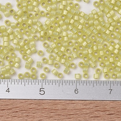 MIYUKI Delica Beads X-SEED-J020-DB0623-1