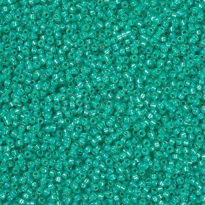 MIYUKI Round Rocailles Beads X-SEED-G008-RR0572-1
