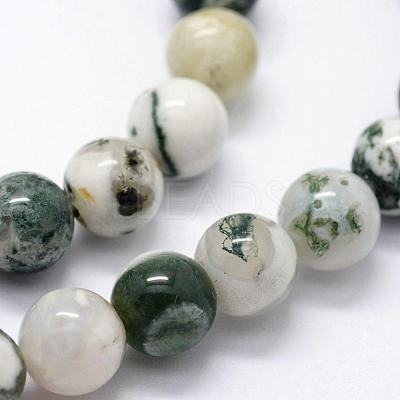 Natural Tree Agate Beads Strands G-I199-03-8mm-1