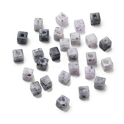 Transparent Acrylic Beads OACR-H044-04A-06-1