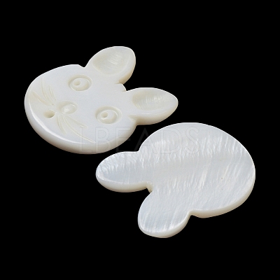 Natural Freshwater Shell Beads BSHE-P033-12-1