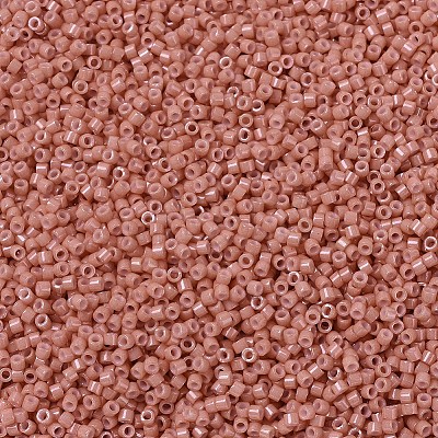 MIYUKI Delica Beads X-SEED-J020-DB1363-1