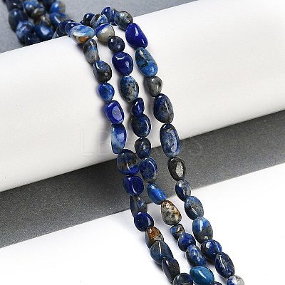Natural Lapis Lazuli Beads Strands G-P497-01B-14-1
