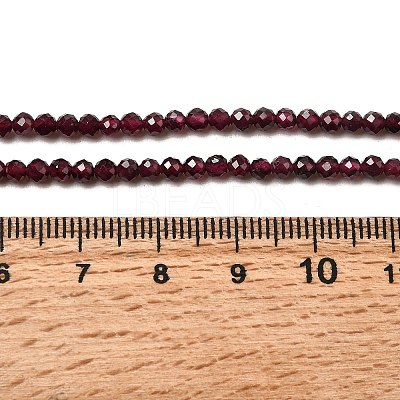 Natural Garnet Beads Strands X-G-I341-09B-01-1