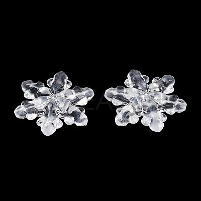 Transparent Acrylic Beads TACR-U008-01B-1
