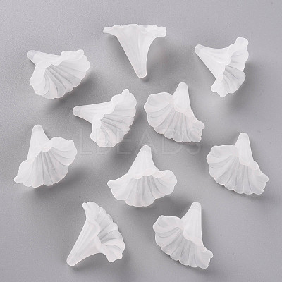 Transparent Acrylic Beads BSF796-1