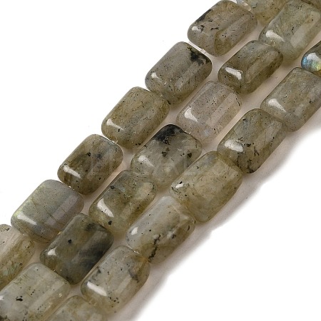 Natural Labradorite Beads Strands G-G085-A25-01-1