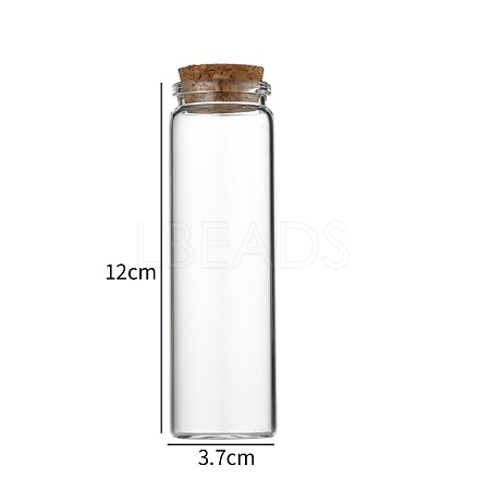 Glass Bottle CON-WH0085-72H-1