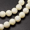 Shell Beads Strands SSHEL-E571-39-8mm-3