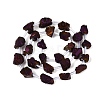 Electroplate Raw Rough Natural Amethyst Beads Strands G-Q610-06B-3