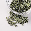 12/0 Opaque Colours Seep Glass Beads SEED-M008-C39-1