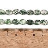 Natural Green Spot Jasper Beads Strands G-H349-A01-20-5