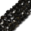 Natural Golden Sheen Obsidian Beads Strands G-Z119-A10-01-3