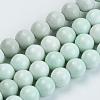 Natural Agate Beads Strands X-G-S286-06D-1