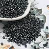 TOHO Round Seed Beads SEED-TR08-0081-4