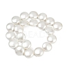 Electroplated Shell Pearl Beads Strands BSHE-G027-13D-3