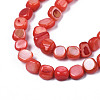 Natural Trochid Shell/Trochus Shell Beads Strands SHEL-S258-083-B06-3