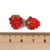 Handmade Lampwork Beads LAMP-A008-03-3