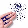 Glass Seed Beads SEED-A010-3mm-48-5