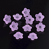 Transparent Acrylic Beads PL560-4-2