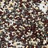 Baking Paint Glass Seed Beads SEED-S042-05B-55-3