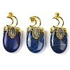 Dyed Natural Lapis Lazuli Pendants G-L524-17G-11-1