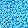 6/0 Glass Seed Beads SEED-S058-A-F298-3