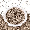 8/0 Glass Seed Beads X-SEED-A017-3mm-1107-1