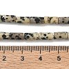 Natural Dalmatian Jasper Beads Strands G-B091-A19-01-3