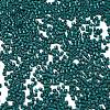 Baking Paint Glass Seed Beads SEED-S042-05B-67-3
