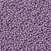 MIYUKI Round Rocailles Beads X-SEED-G007-RR2037-3