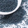 MIYUKI Round Rocailles Beads SEED-G007-RR0314-1