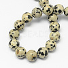 Natural Dalmatian Jasper Stone Bead Strands X-G-R193-14-4mm-2