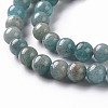Natural Amazonite Beads Strands G-S333-6mm-005-3