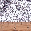 MIYUKI Delica Beads SEED-X0054-DB1067-4